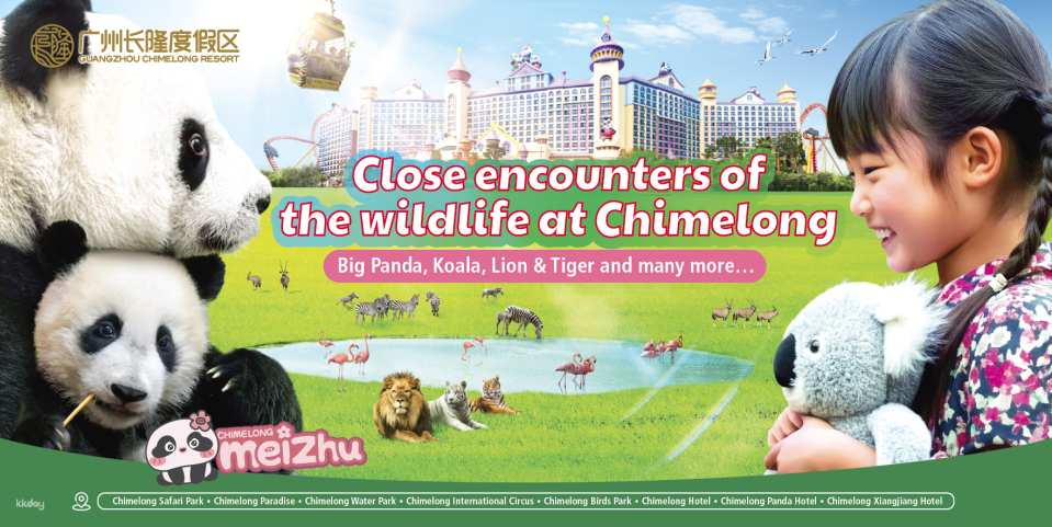 Chimelong Bird Park in Guangzhou, China | Exclusive offer: Free AIRSIM data plan - Photo 1 of 8