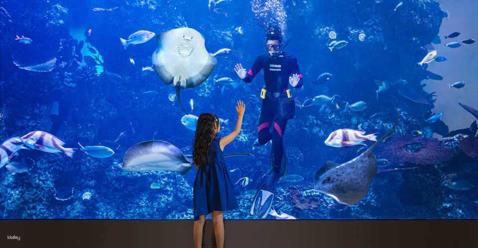 Chimelong Hengqin Bay Hotel, Zhuhai, China | Dolphin Buffet Restaurant | Exclusive offer with free AIRSIM card - Photo 1 of 7