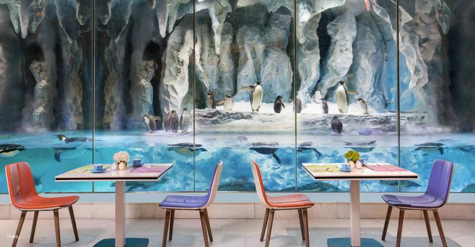 Chimelong Penguin Hotel Zhuhai, China | Emperor Penguin Buffet Restaurant | Exclusive offer with free AIRSIM Borderless Internet Card - Photo 1 of 7