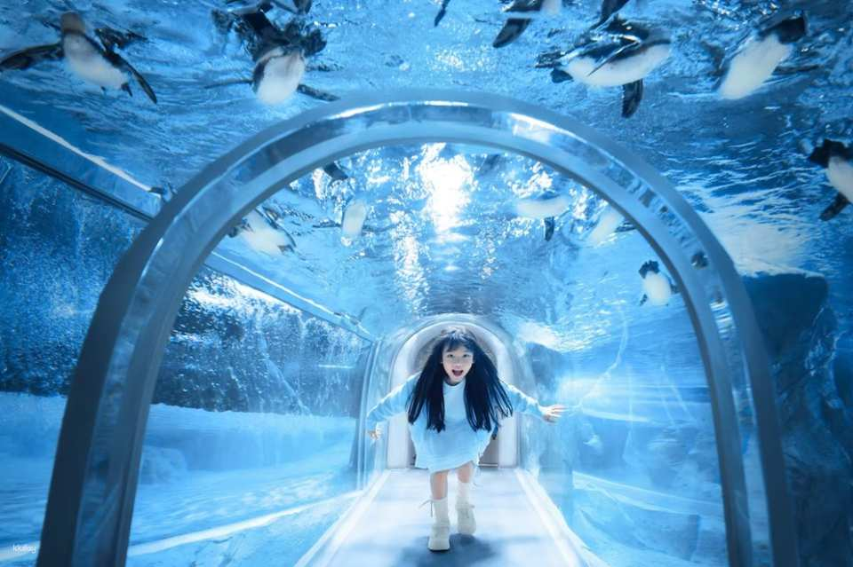 [China] Shanghai Changfeng Ocean World Tickets - Photo 1 of 6