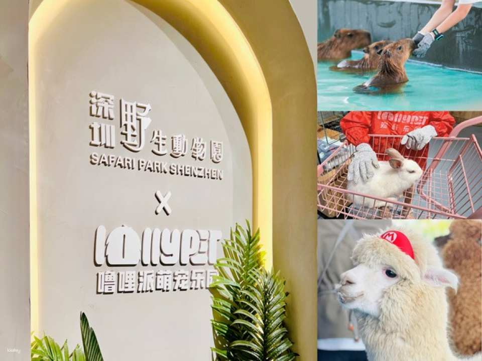 【Shenzhen, China】Lollypet Pet Park Full Day Ticket - Photo 1 of 1