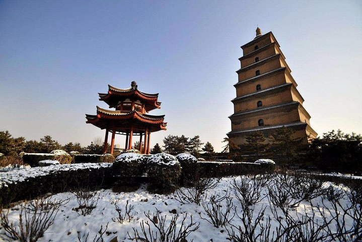 Terra cotta Army One Day Private Trip - Photo 1 of 8