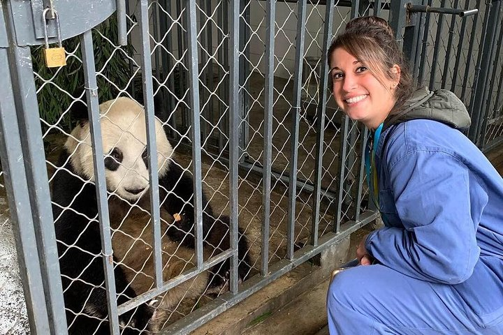 Dujiangyan Panda Volunteering Experience with Lunch - Photo 1 of 12