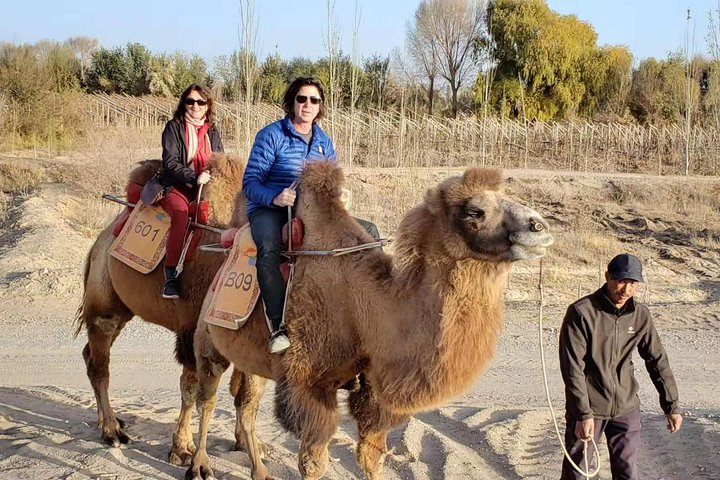 Dunhuang Private Camel Riding in the Gobi Desert - Photo 1 of 4
