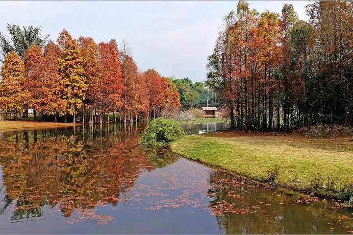 Flexible Private Half-Day Tour to Visit the Top Attraction Xiamen Yuanbo Garden - Photo 1 of 7