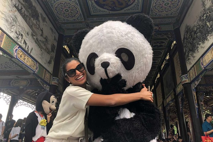 Giant Panda Hometown and Taoist Mountain Discovery From Chengdu - Photo 1 of 8