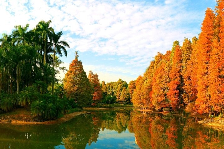 Guangzhou South China National Botanical Garden Private Day Tour - Photo 1 of 10