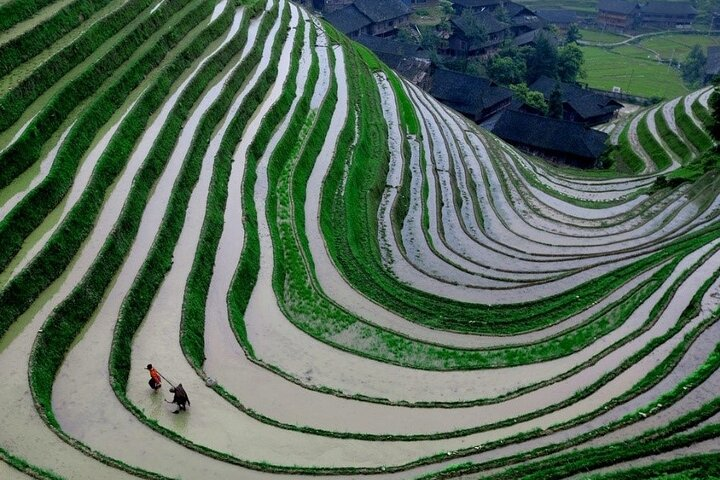 The dragon trip china | Benkens.blog
