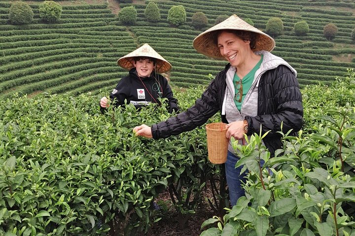 Half-Day Guilin City Tour: Elephant Hill Park and Tea Plantation - Photo 1 of 7