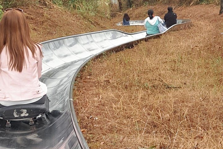 Yao Mountain Toboggan