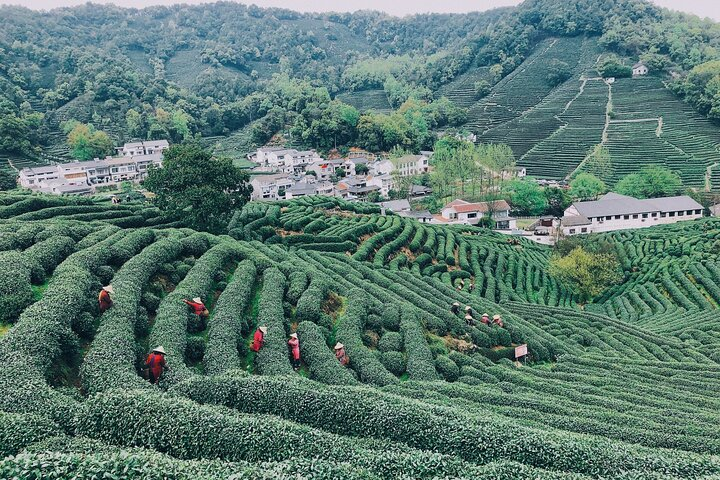Hangzhou Jiuxi and Tea Village Hiking Trip from Shanghai By Train - Photo 1 of 10