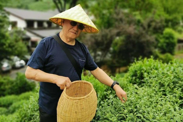 Hangzhou Authentic Longjing Tea Culture Experience Tour - Photo 1 of 7