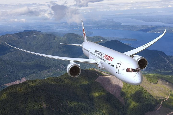 Layover Self-Guide Tour To Forbidden City with Private English Speaking Driver - Photo 1 of 9