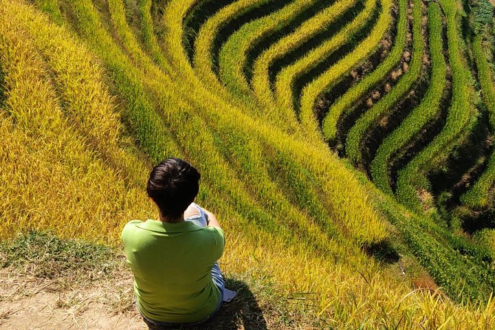  Longji Rice Terraces Day Tour from Yangshuo hotel - Photo 1 of 8