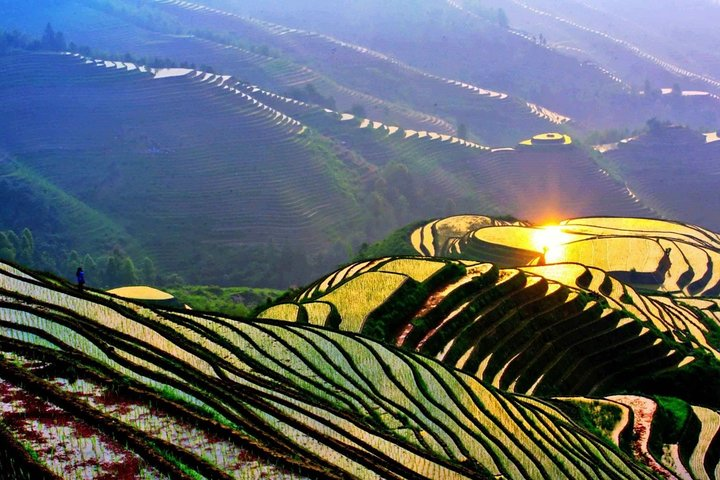 Longji Rice Terraces 