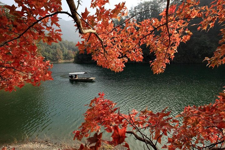 4-Hour Flexible Private Guangzhou City Tour with Dim-Sum Options - Photo 1 of 18