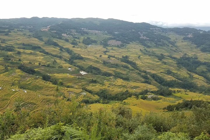 Private 3-Day Tour to Jianshui Old Town and Yuanyang Rice Terraces from Kunming - Photo 1 of 8