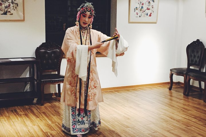 Chinese Zither Performance