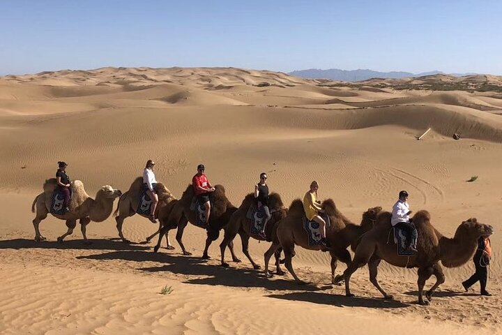 Private Day Tour to Kubuqi Desert from Hohhot with Pick Up - Photo 1 of 8