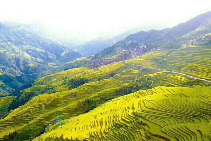 Longji Rice Terrace