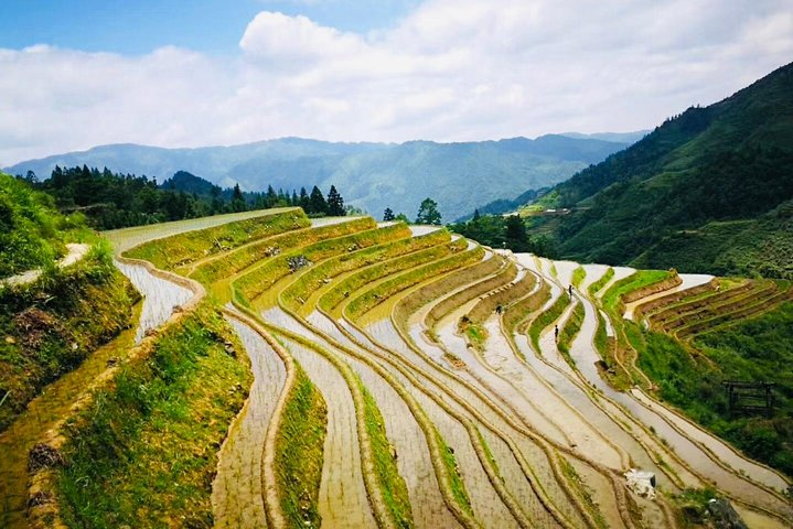 Private Day Tour to Longji Rice Terraces from Yangshuo - Photo 1 of 25