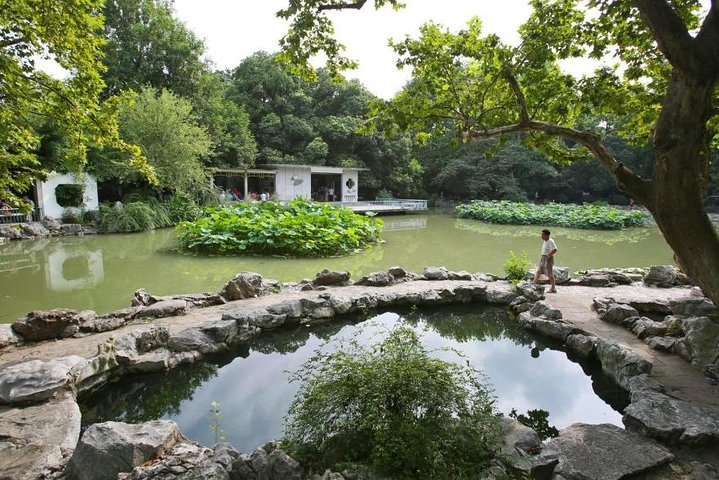 Private Full Day Tour: Shanghai Natural Sites and Beauty Tour - Photo 1 of 8