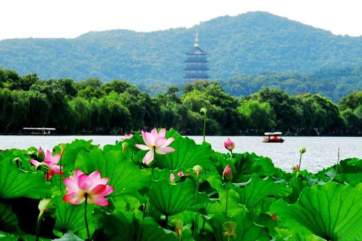 Private Hangzhou Day Tour from Shanghai by Bullet Train - Photo 1 of 12