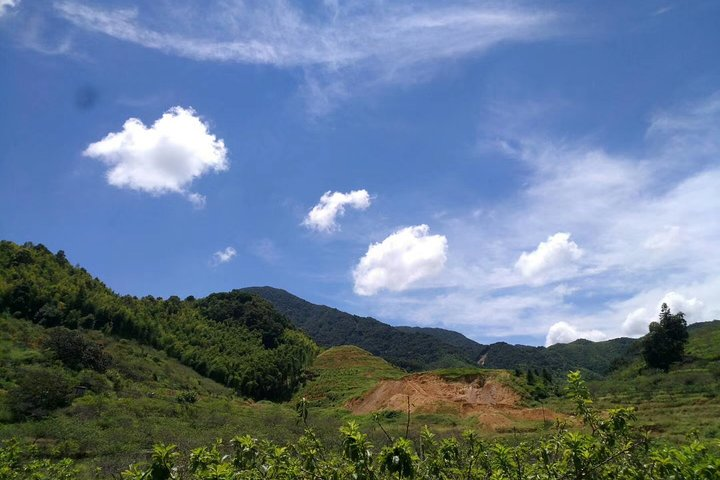 Private Hiking Day Tour around Xitou Village from Guangzhou - Photo 1 of 6