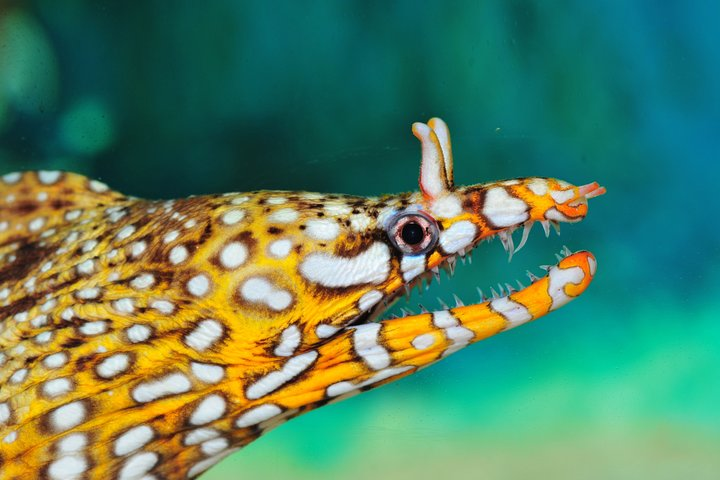 Shanghai Ocean Aquarium