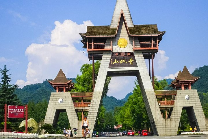 Private day tour to Yungang Grottoes and Hanging Temple in Datong - Photo 1 of 7