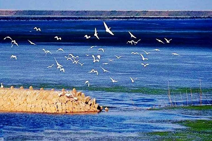 Private Transfer Between Chongming Island and Shanghai City Area - Photo 1 of 5