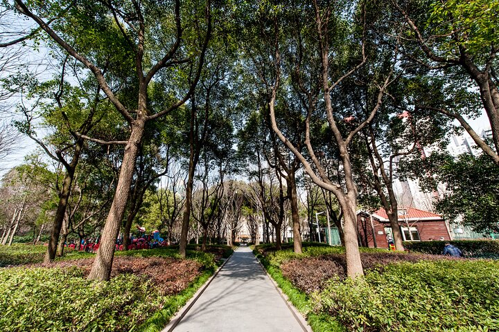Private Shanghai Walking Tour:Shikumen,Jade Buddha,M50,1000 TREES - Photo 1 of 6