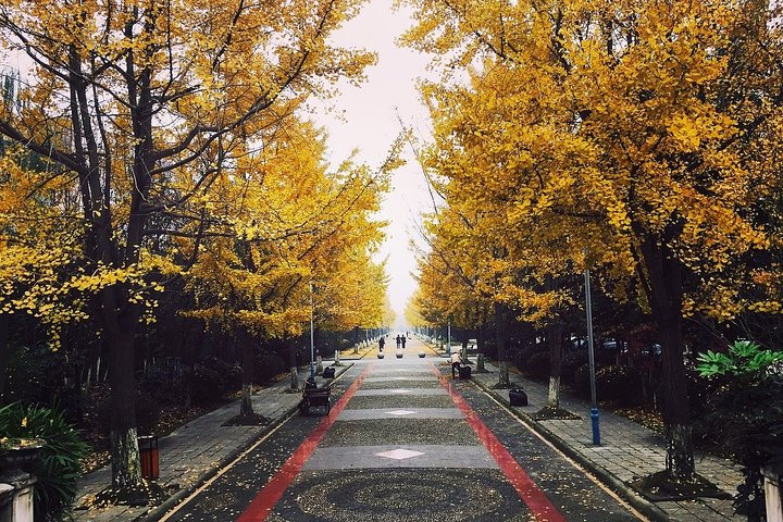 Exclusive Chengdu by Private Car: Giant Pandas & Leshan Buddha - Photo 1 of 5