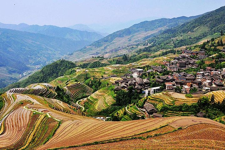 Longji Terraces Fields