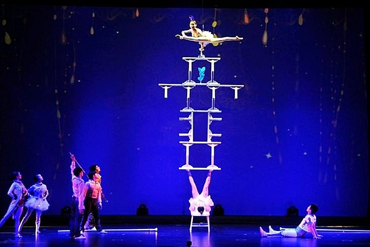 Shanghai Dinner and Acrobatics Show - Photo 1 of 9