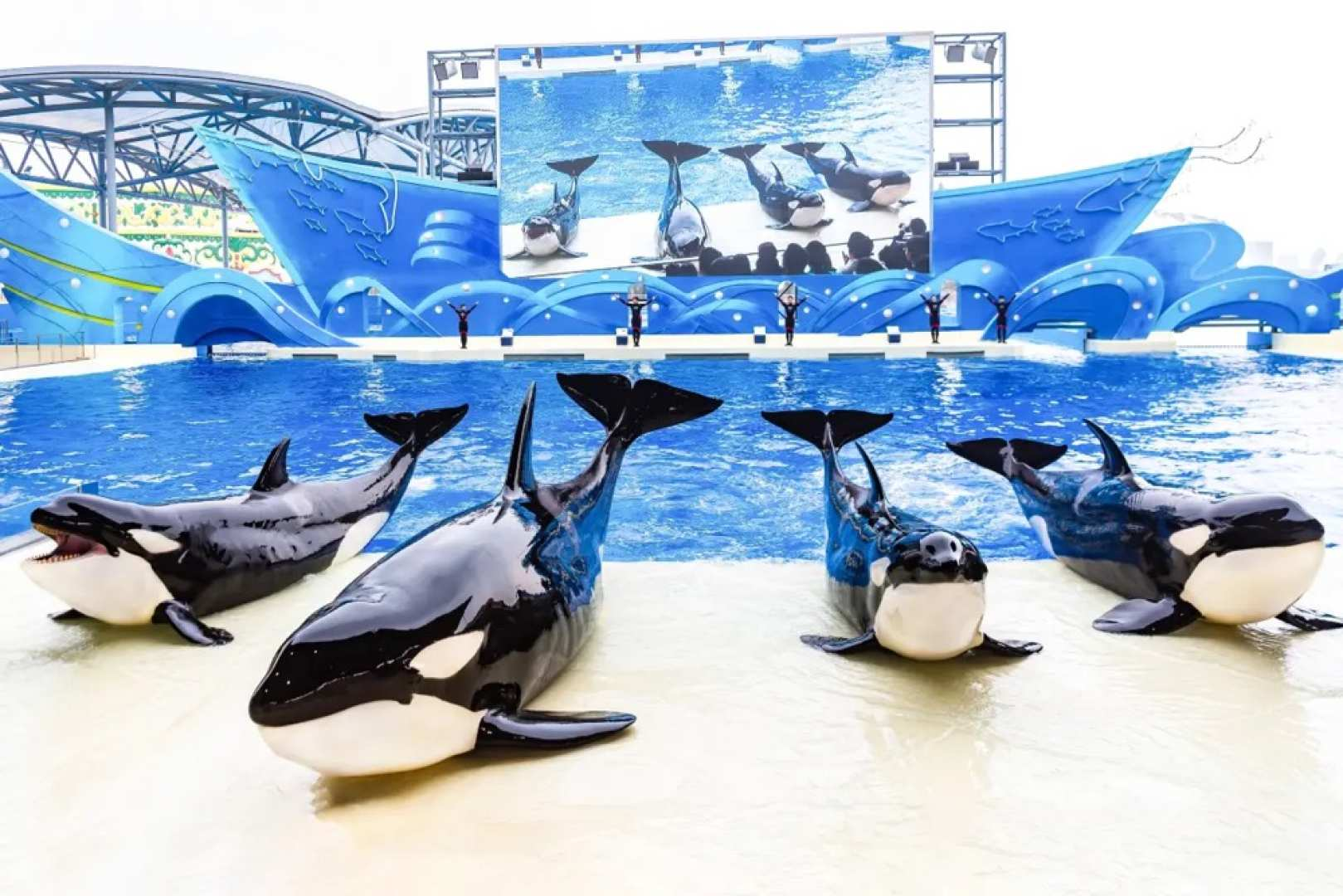 Shanghai Haichang Ocean Park Tickets - Photo 1 of 7