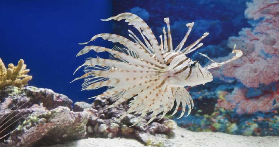 Shanghai Ocean Aquarium: Admission Ticket | China - Photo 1 of 6