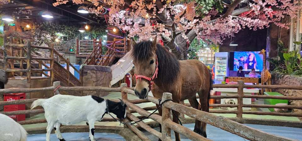 Shenzhen, China｜Ye En Animal Park Tickets (Longgang Wanda Plaza Store) - Photo 1 of 10