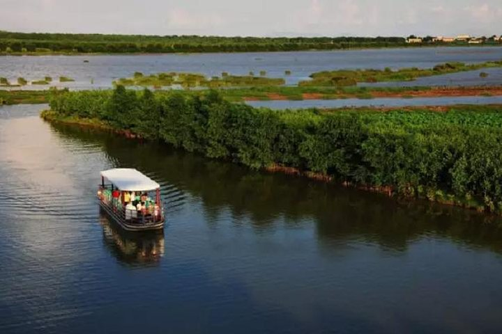 Guangzhou Seashore Beach and Wild Bird Wetland Park Private Tour - Photo 1 of 9