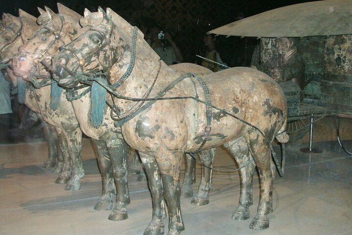 Xi'an Terra-Cotta Army Warriors, Old City Wall, Mosque day tour - Photo 1 of 13