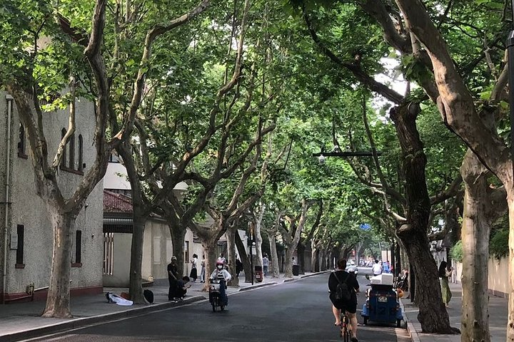 The History of the French Concession: A Self-Guided Audio Tour - Photo 1 of 2