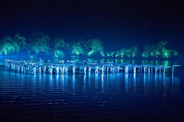 VIP Seated Enduring Memories of Hangzhou Show Tour with Authentic Dinner - Photo 1 of 6
