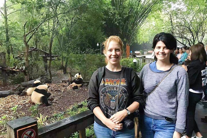 Visiting Chengdu Panda Base in a Half Day - Photo 1 of 12