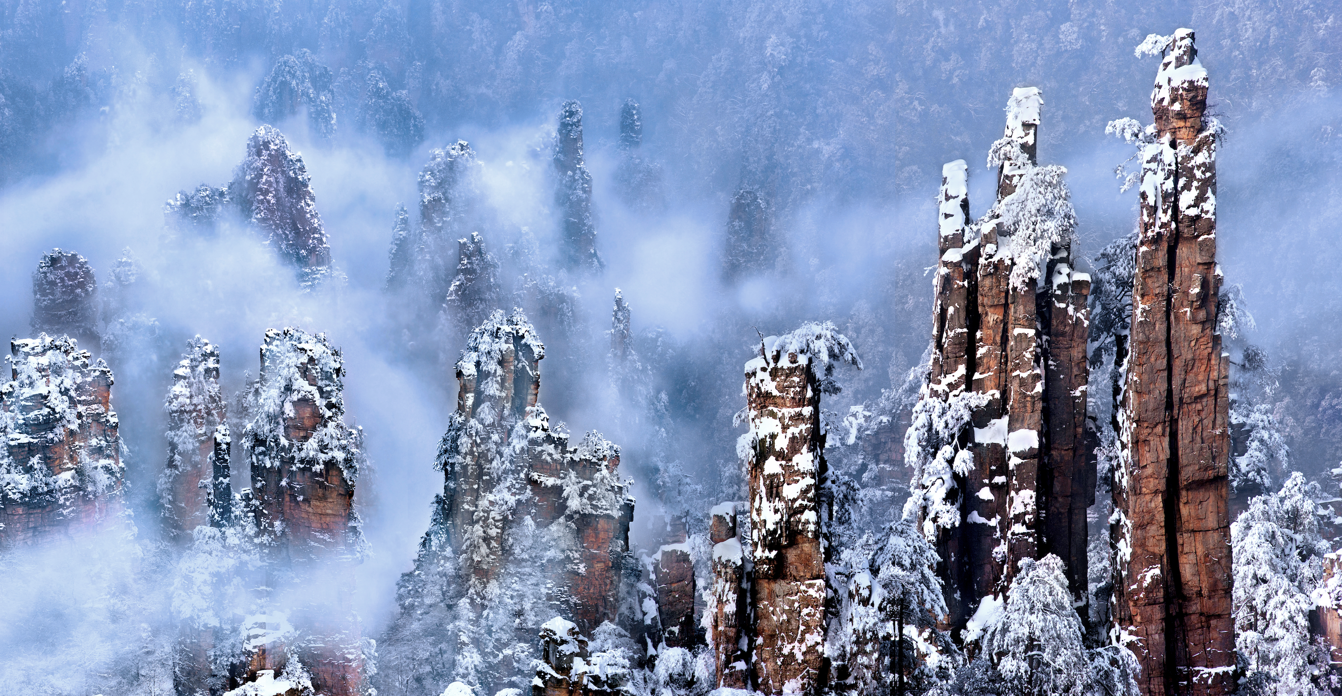 Zhangjiajie National Forest Park Ticket + Three Cableways and One Elevator (4 One-Way Trips) - Photo 1 of 6