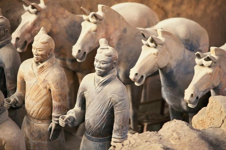 Zhengzhou Private Trip to Xi'an Terracotta Warriors & City Wall by Bullet Train  - Photo 1 of 7