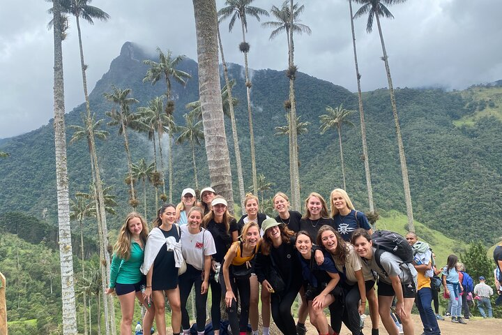 Immerse yourself in the spectacular Cocora Valley, where you will enjoy one of the most beautiful natural wonders in the country. 