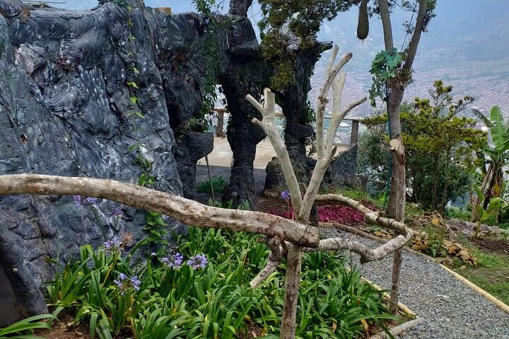 2 Days Medellin autentic Coffee Farm Experience  - Photo 1 of 23