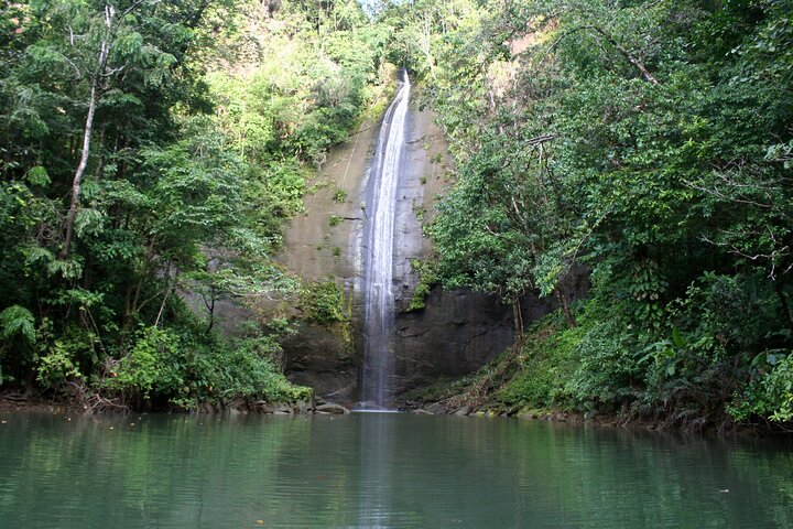 Whale Watching - Bahía Málaga