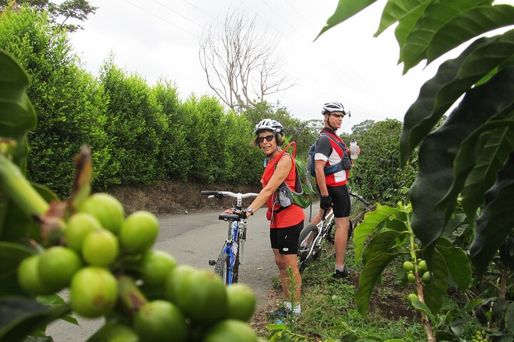 4-Days Biking and Hiking in Cocora Valley - Nature, Coffee & Real Culture  - Photo 1 of 12