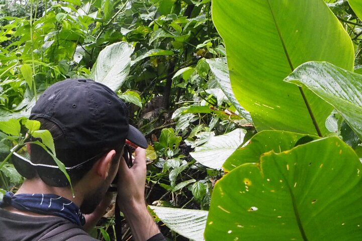 5 Day-4 Nights Extreme Private Amazon Experience - Photo 1 of 25